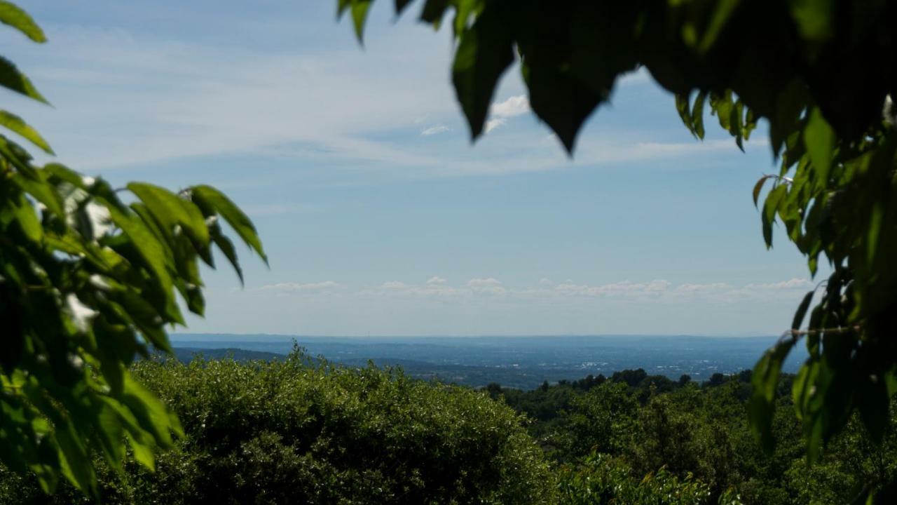 Les Cerisiers De Stella Blauvac Exterior foto